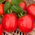 Томат Коррида Томат Коррида