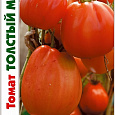 Томат (Помидор) обыкновенный Толстый Монах Томат (Помидор) обыкновенный Толстый Монах