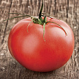 Томат Радостный Томат Радостный