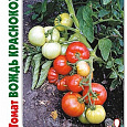 Томат (Помидор) обыкновенный Вождь Краснокожих F1 Томат (Помидор) обыкновенный Вождь Краснокожих F1