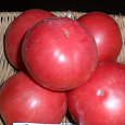 Томат Румянец Томат Румянец